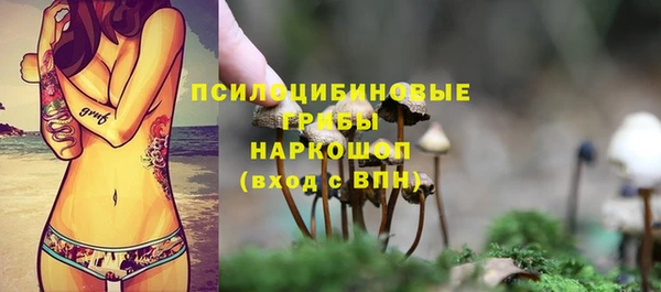 спиды Бронницы
